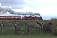 On Capernwray Viaduct 2 - Chris Taylor